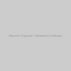 Image of Albumin (Capture / Detection) Antibody